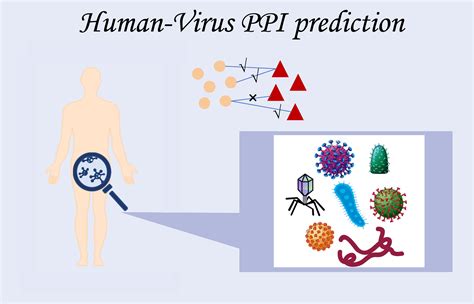 ppis v3|InterSPPI v3 .